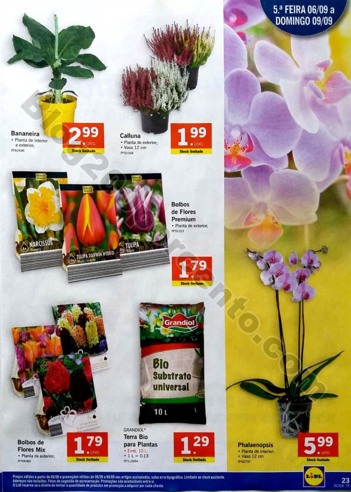 antevisao lidl tudo a 1 euro promocoes de 3 a 9 se