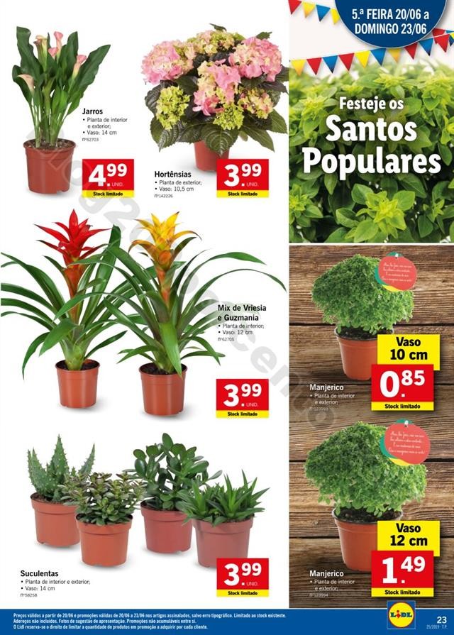 Antevisão Folheto LIDL Promoções de 17 a 23  ju