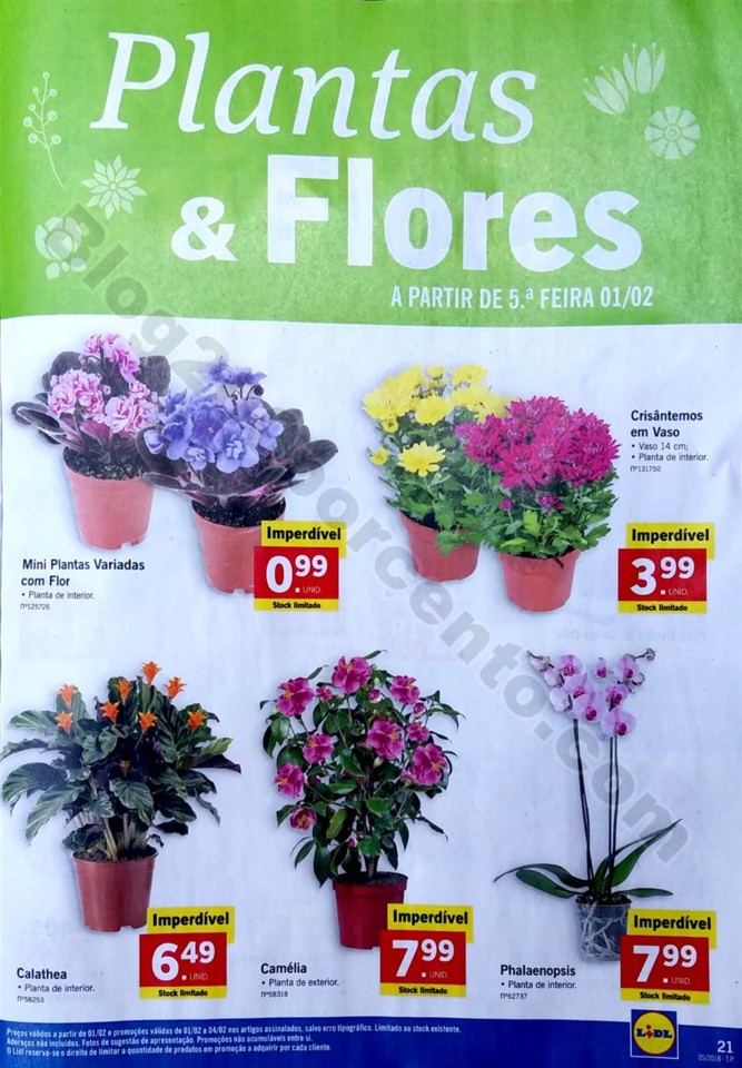 folheto lidl 29 jan a 4 fev_21.jpg