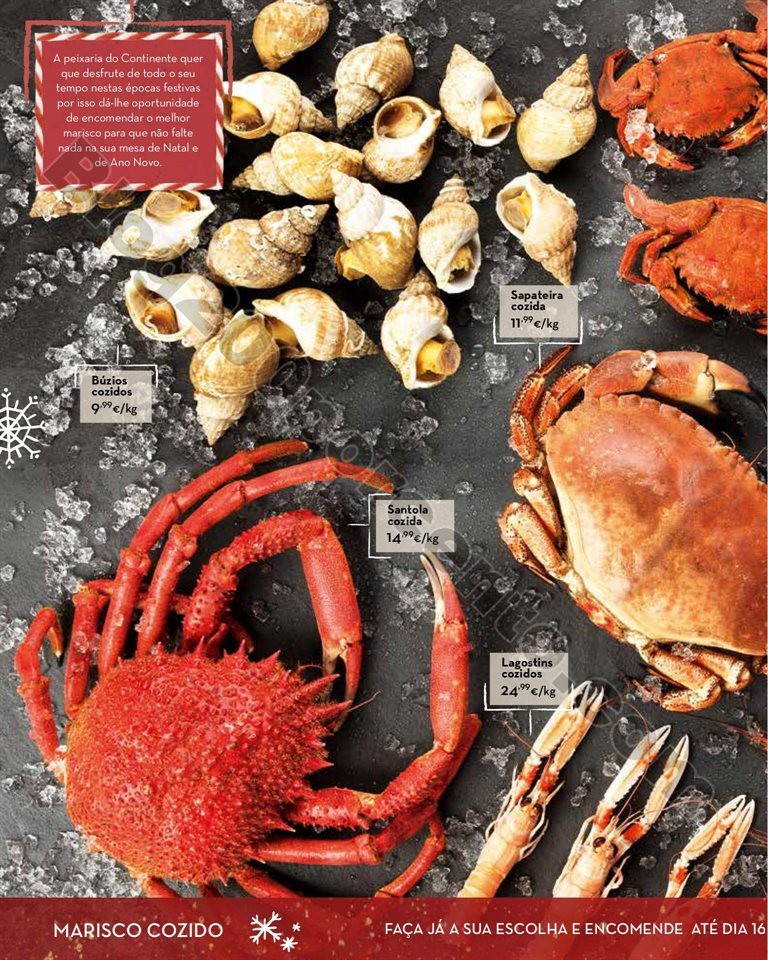 Antevisão Mariscoa CONTINENTE 26 novembro a 31 de