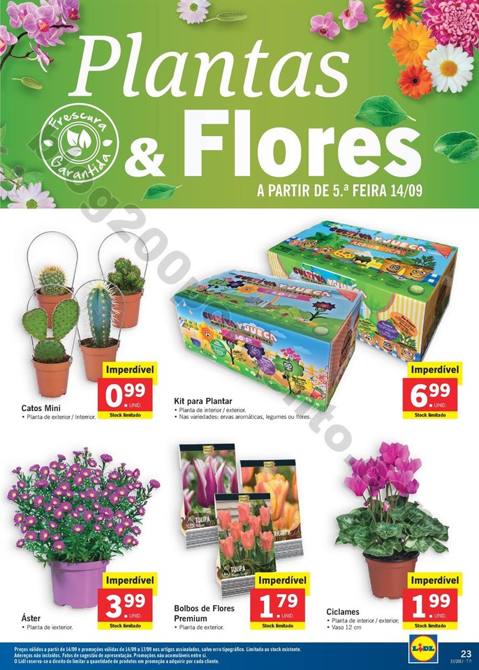 Promo_es_v_lidas_a_partir_de_11_09_2017_Mais_para_