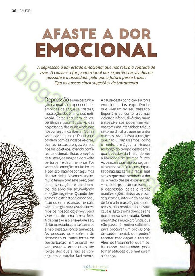 Novo Folheto BEM ESTAR - JUMBO primaveral p36.jpg