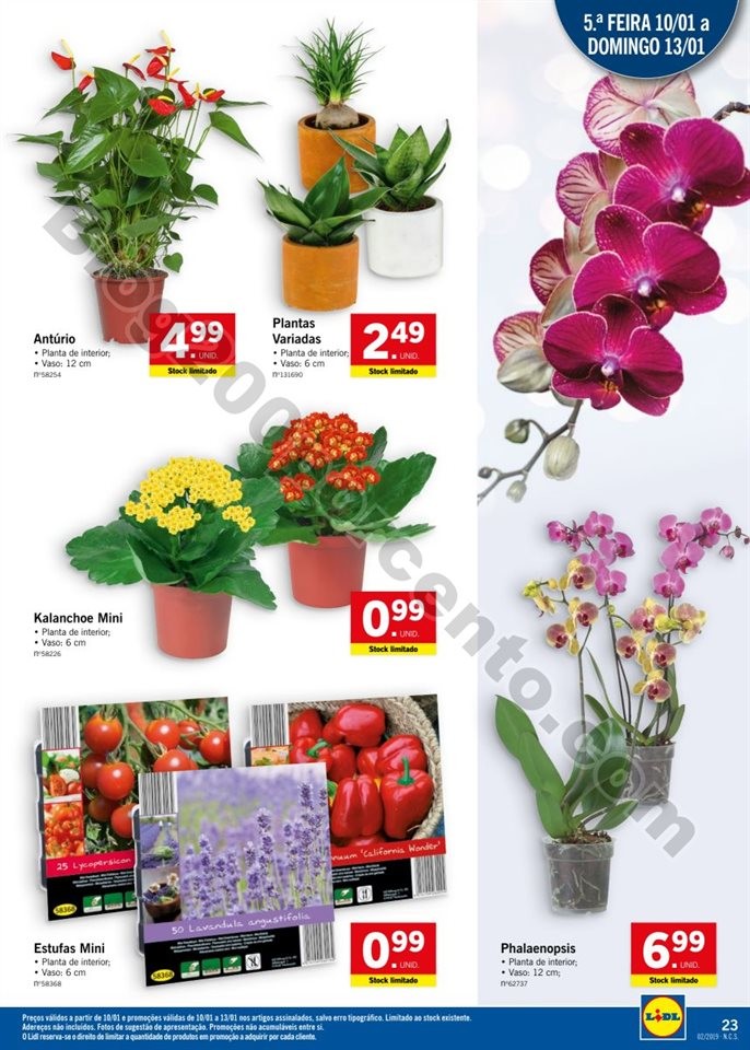 Antevisão Folheto LIDL XXL promoções de 7 a 13 