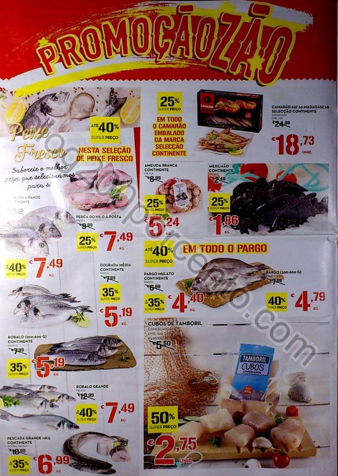 continente 2017_4.jpg