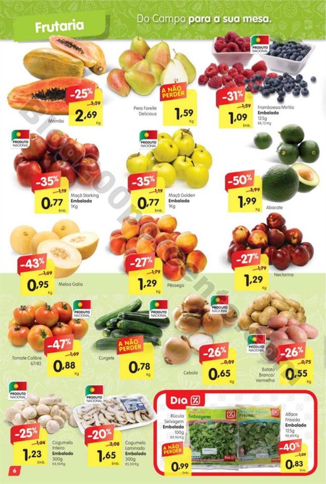 family 28 junho a 4 julho p6.jpg