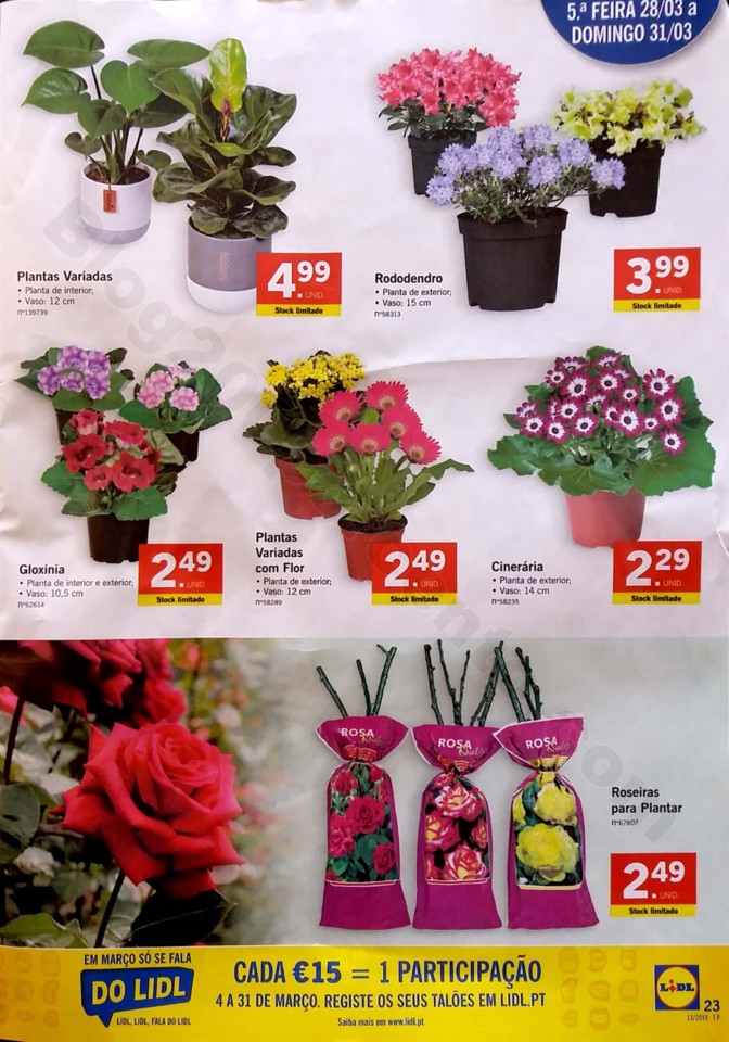 antevisao folheto lidl páscoa 25 a 31 março_23.j