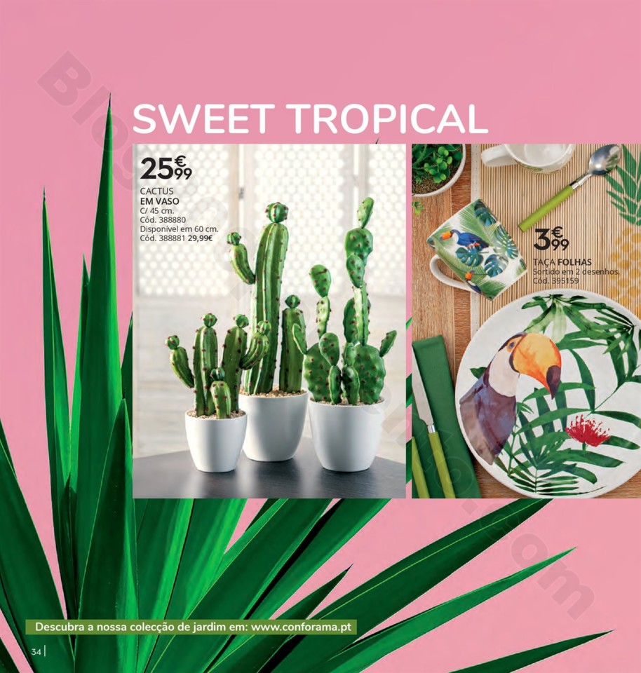 Conforama Jardim 2019 34.jpg