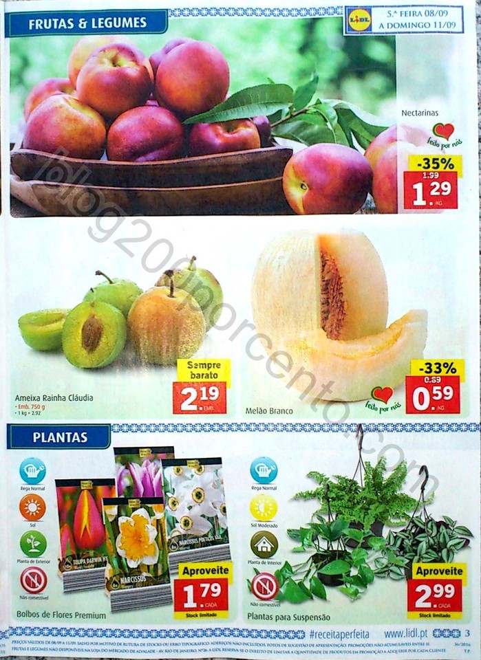 Novo Documento 28_3.jpg