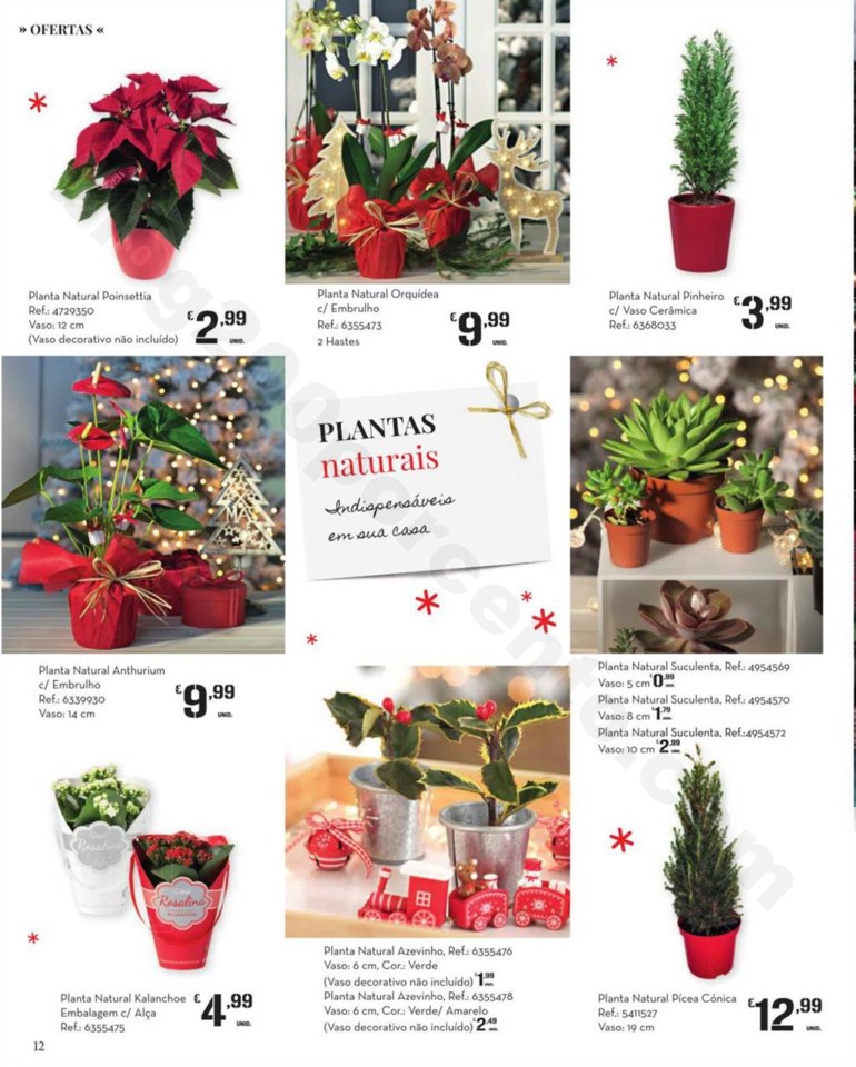 Antevisão Folheto NATAL Modelo decoração Natal 