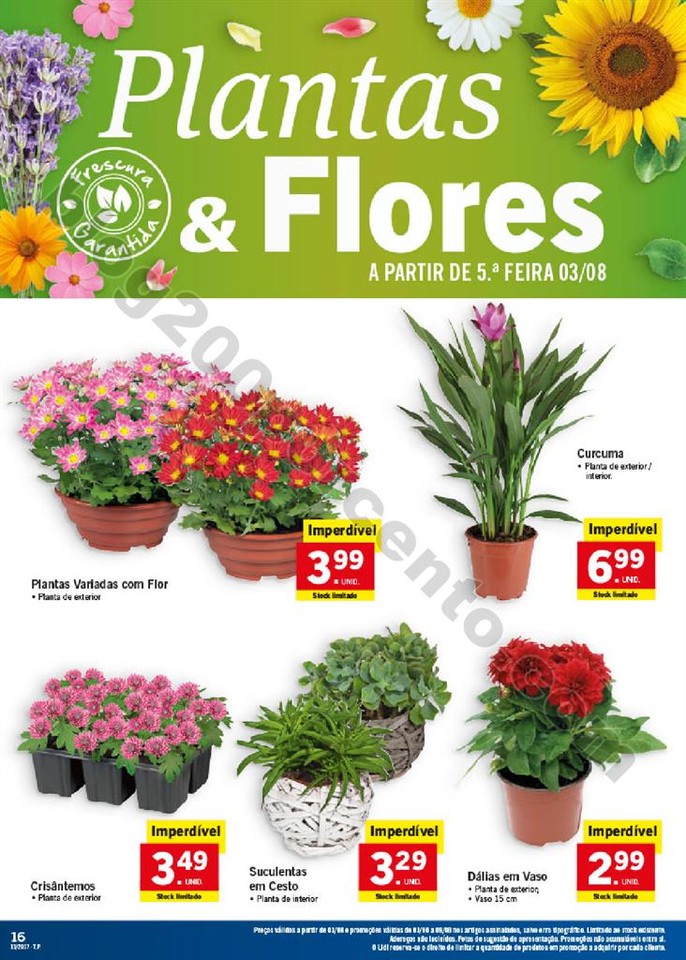 Promo_es_v_lidas_a_partir_de_03_08_2017_Mais_para_