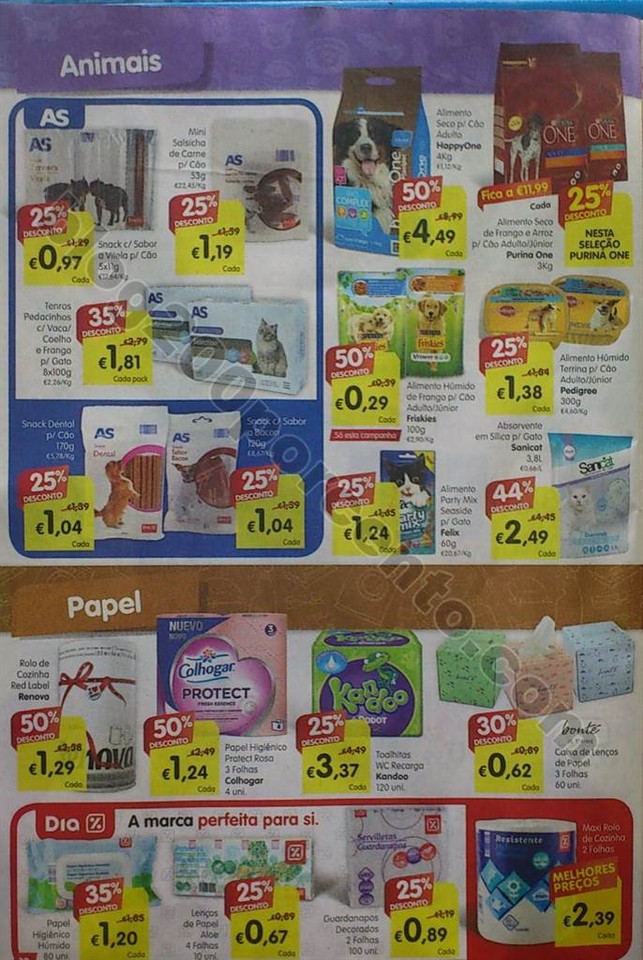 mini Family 15 a 21 junho_18.jpg