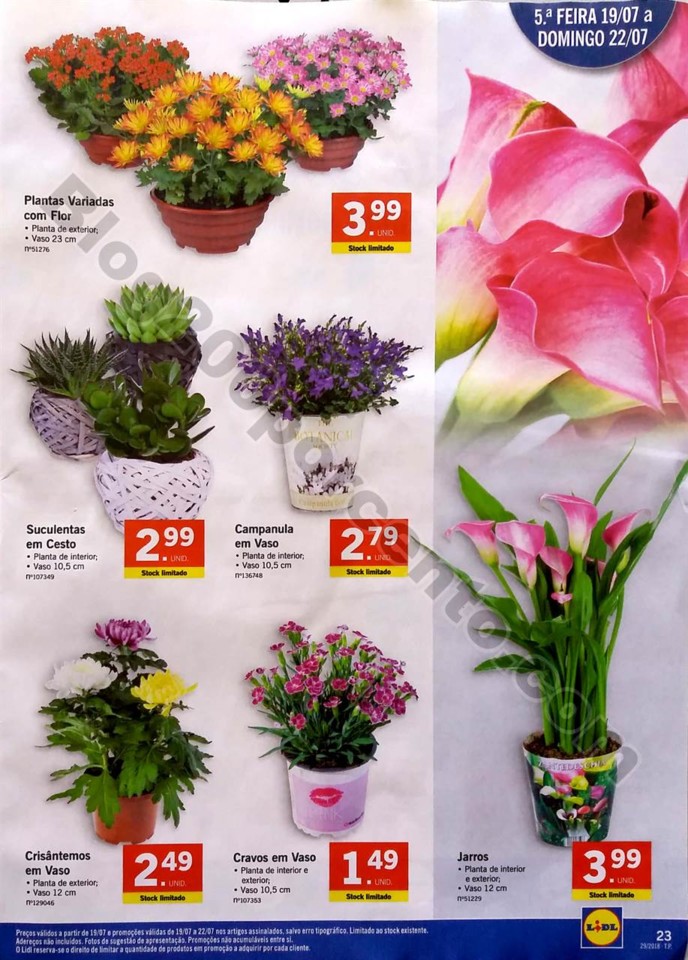 antevisao folheto lidl 16 a 22 julho_23.jpg