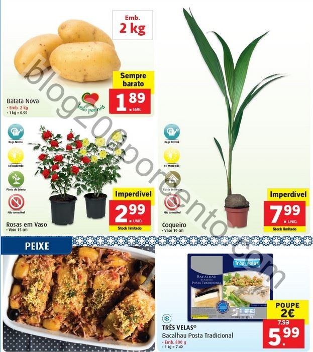 Promoções-Descontos-23962.jpg