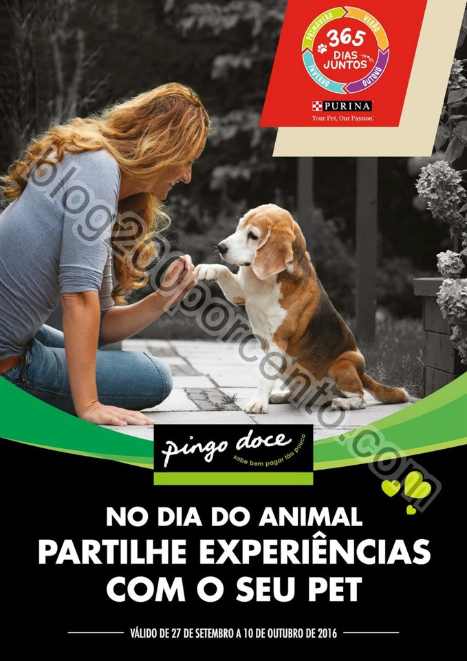 pingo doce pets 1.jpg