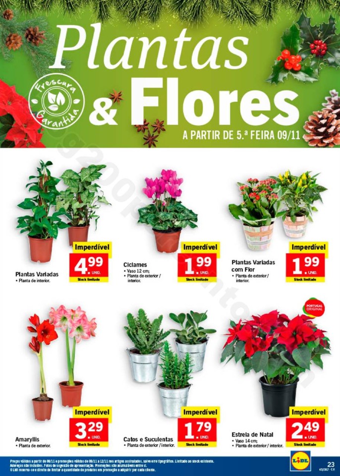 lidl esta semana natal (31).jpg