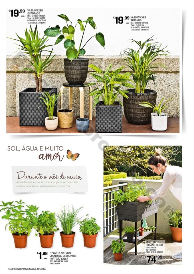 Antevisão Folheto CONTINENTE Jardim promoções d