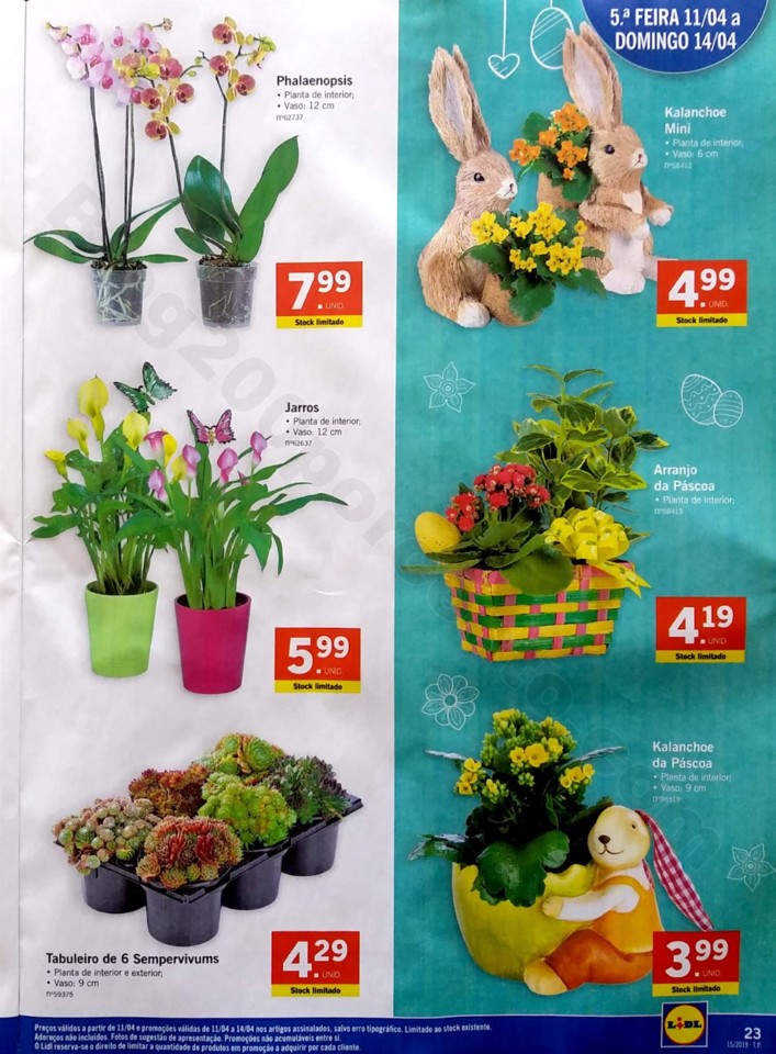 antevisao folheto lidl 8 a 14 abril páscoa_23.jpg
