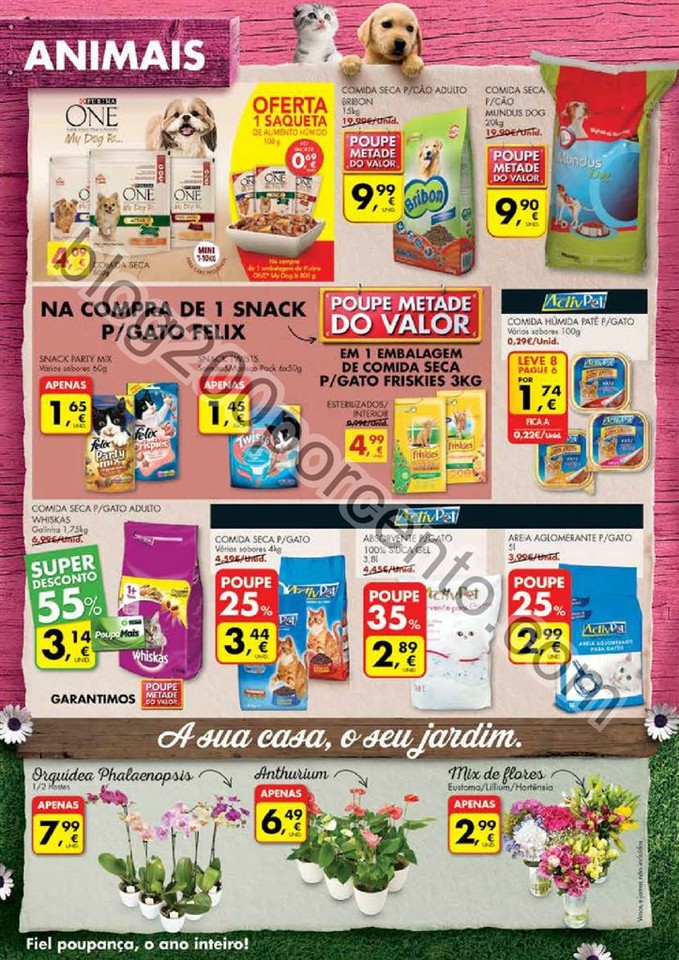 Antevisão Folheto PINGO DOCE Promoções de 19 a 