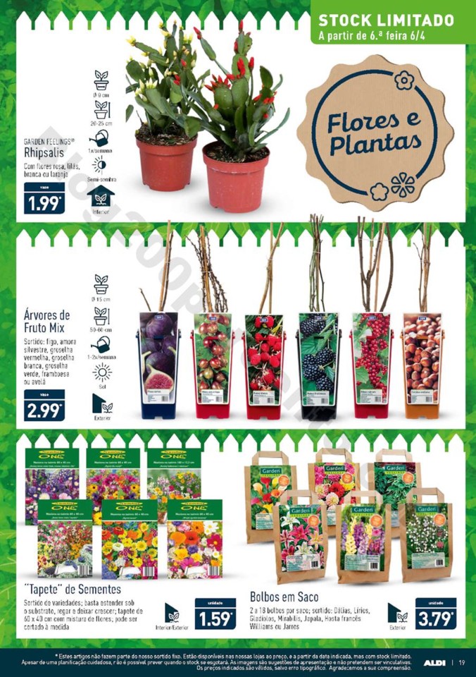 Antevisão Folheto ALDI Promoçõesa partir de 4 a