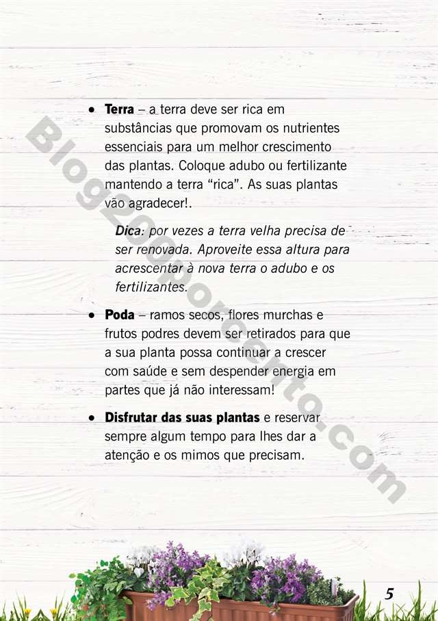 mercado plantas 16 maio_004.jpg