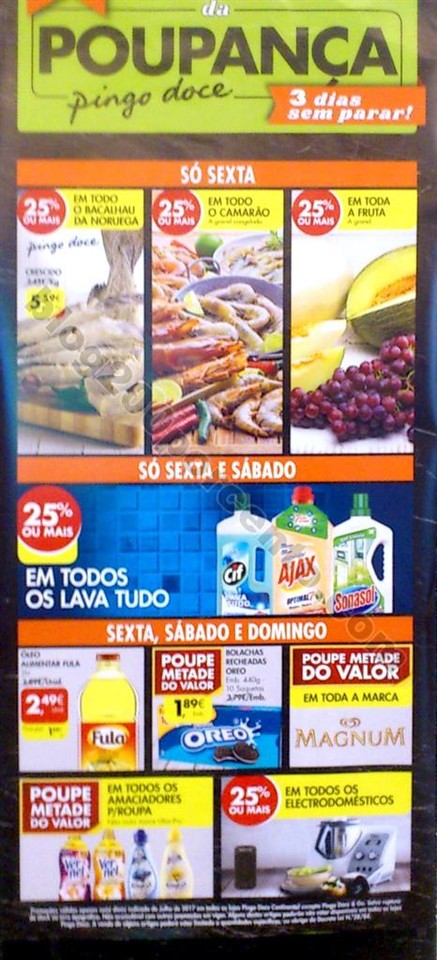 01 pingo extra_2.jpg