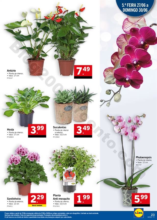 LIDL Promoções e Feira do Bebé de 24 a 30 junho