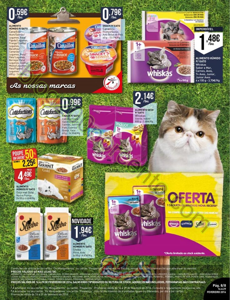 Antevisão Folheto INTERMARCHÉ Pets promoções d