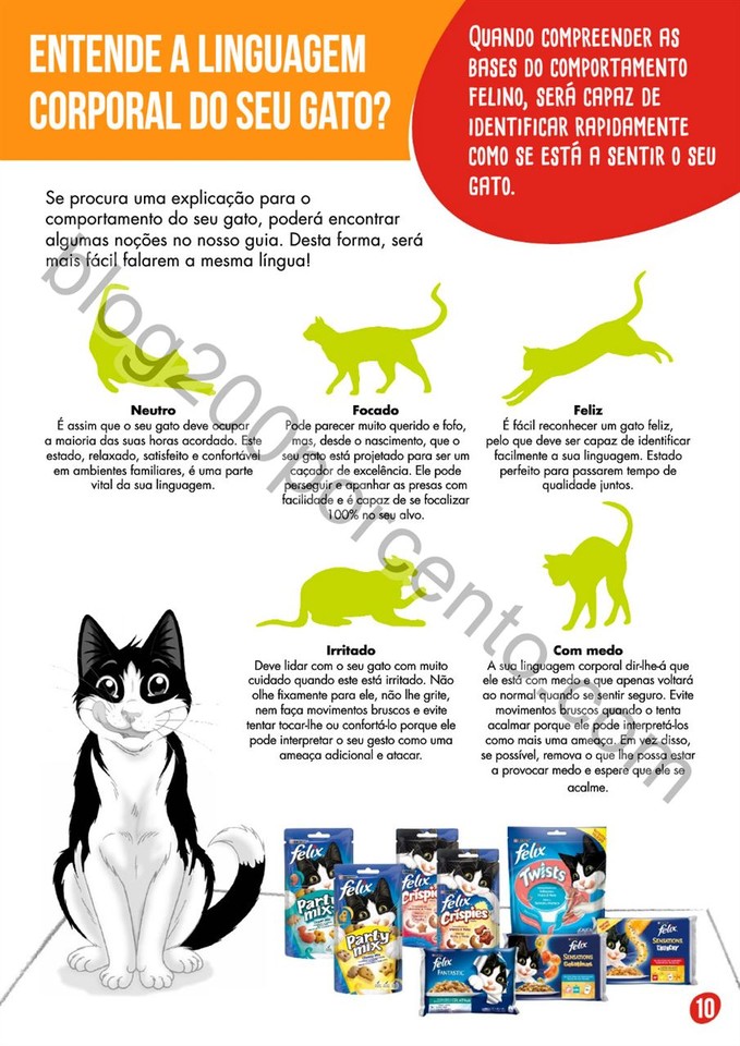 pingo doce pets 11.jpg