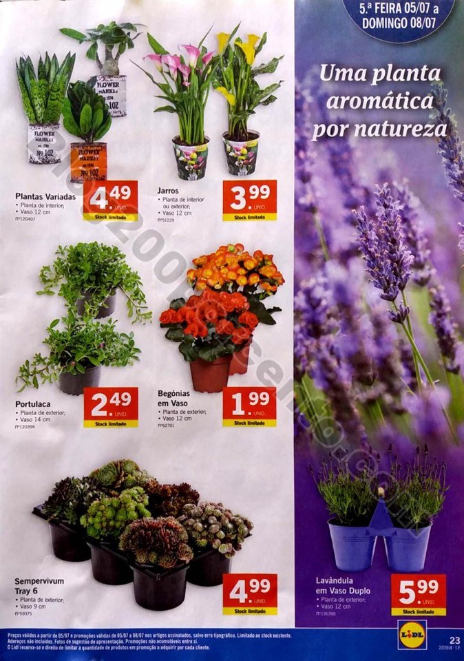 antevisao lidl folheto 2 a 8 julho_23.jpg