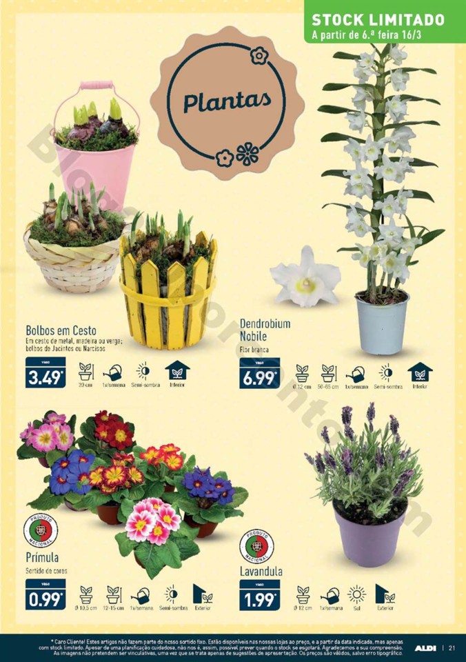 Antevisão Folheto ALDI Promoções a partir de 14