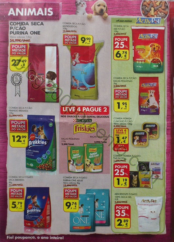 pingo doce 8 14 marco_30.jpg