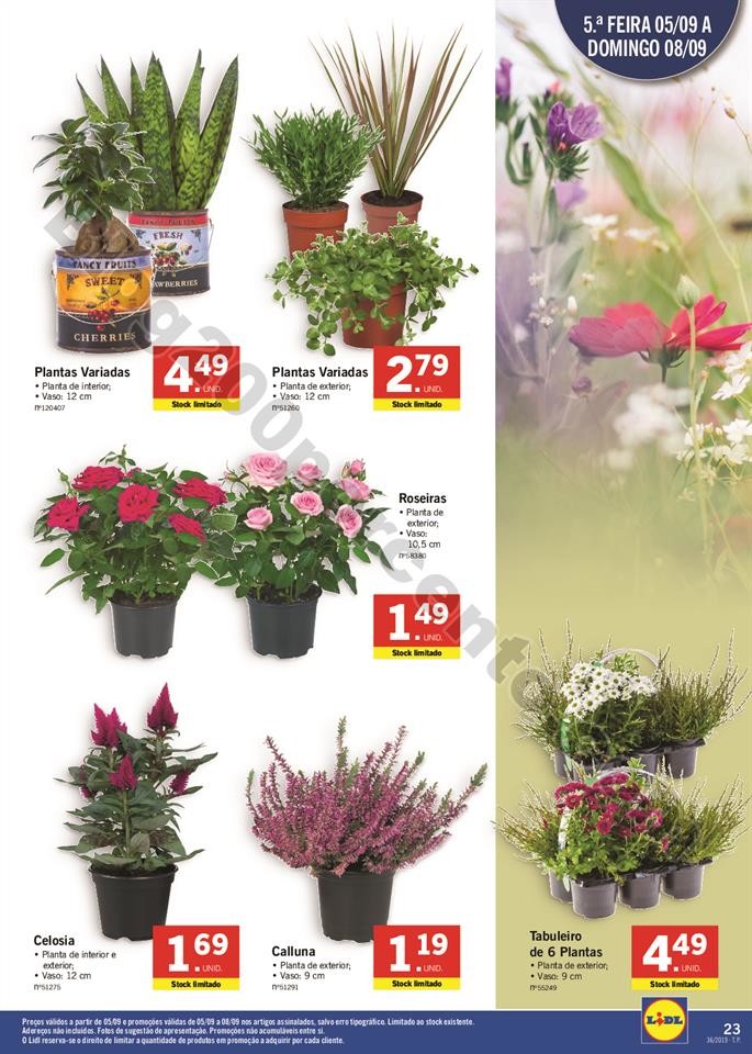 LIDL Folheto 2 a 8 setembro_038.jpg