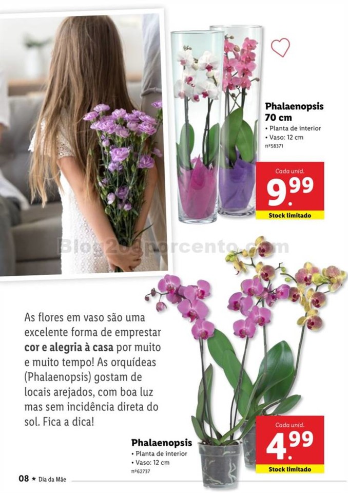 Antevisão Folheto LIDL Especial Dia da Mãe Promo