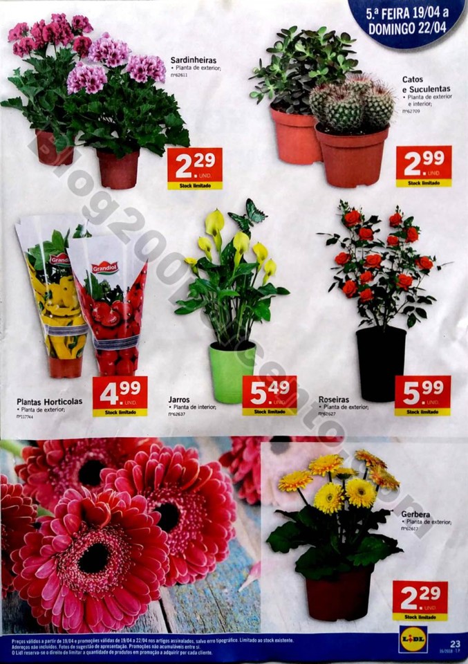 antevisao folheto lidl 16 a 22 abril_23.jpg
