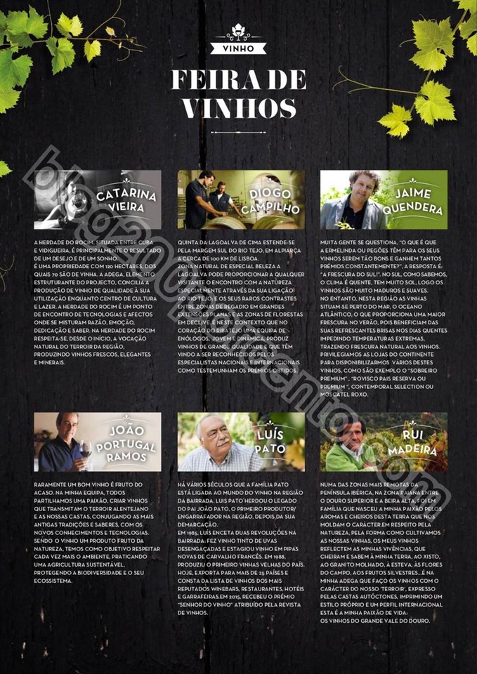Antevisão Folheto CONTINENTE Vinhos promoções d