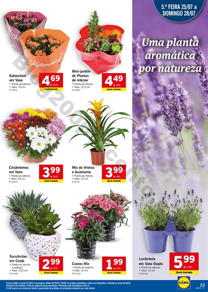 folheto LIDL alimentar Promoções a partir de 22 