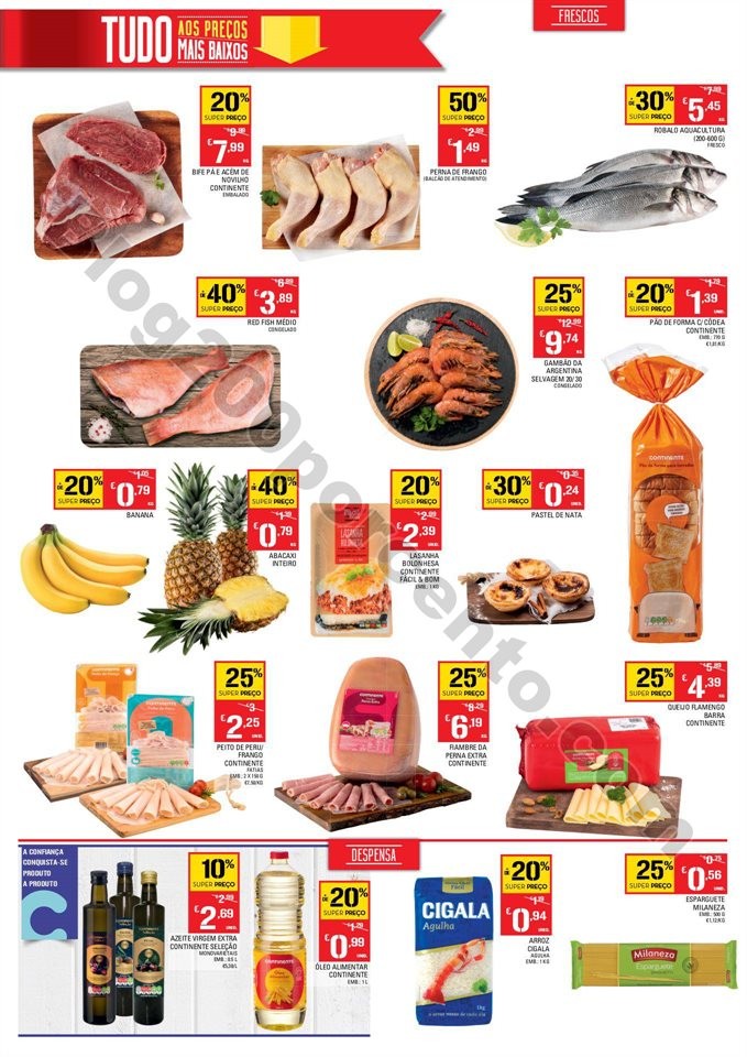 Abertura esmoriz p2.jpg