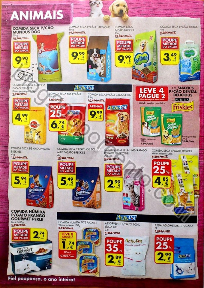 pingo doce 27 outubro_22.jpg