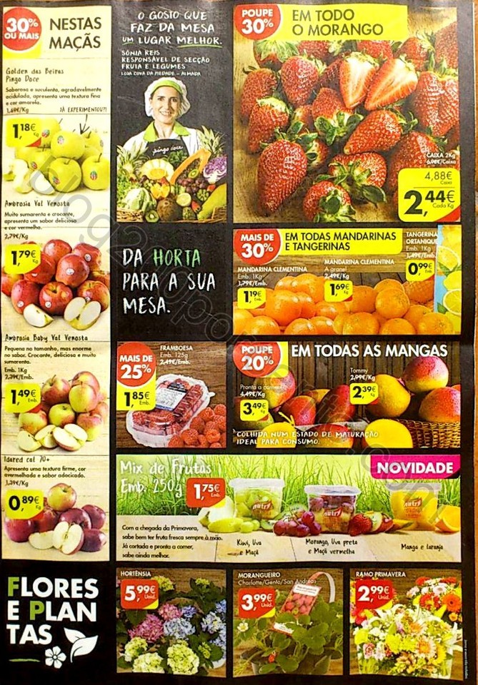 Novo Documento 99_5.jpg