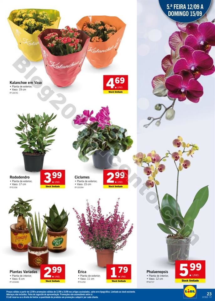 Antevisão Folheto LIDL Promoções a partir de 9 