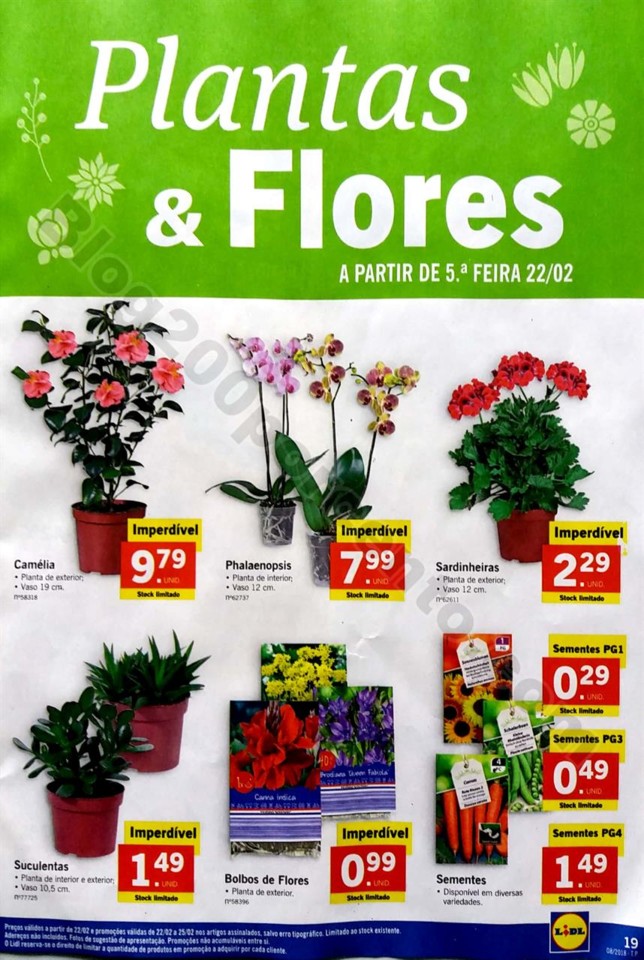 lidl extra semana grega_19.jpg