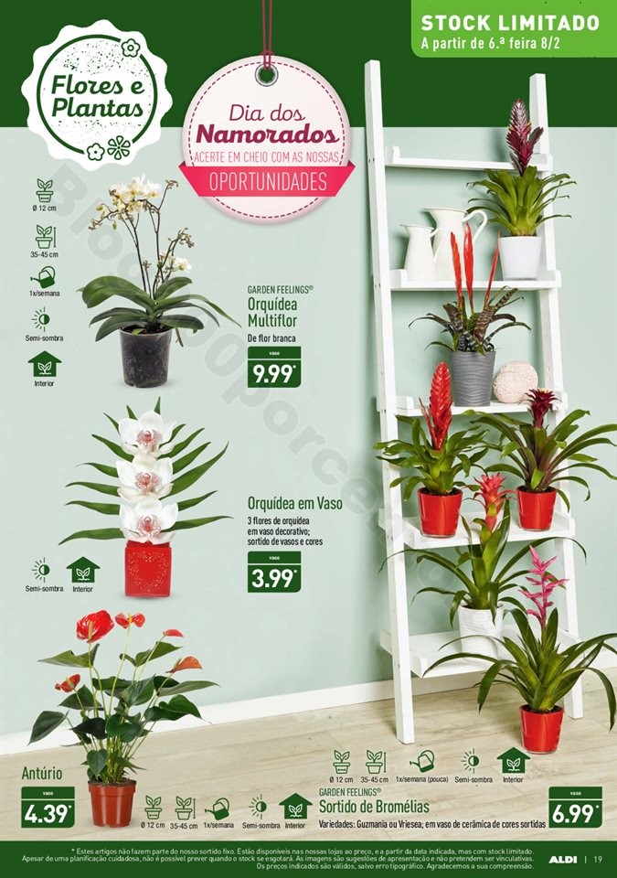 Antevisão Folheto ALDI Promoções a partir de 6 