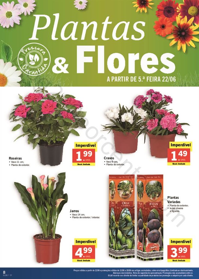 Promo_es_v_lidas_a_partir_de_22_06_2017_Mais_para_