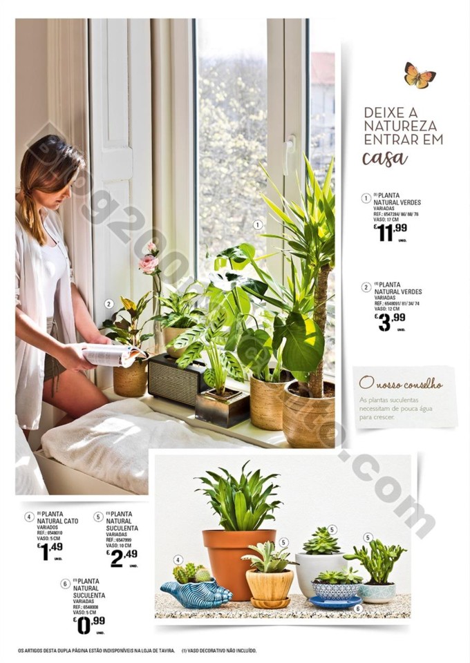 Antevisão Folheto CONTINENTE Jardim promoções d