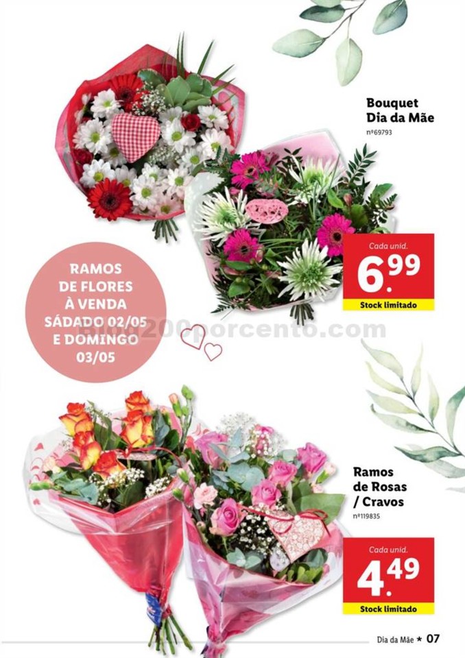 Antevisão Folheto LIDL Especial Dia da Mãe Promo