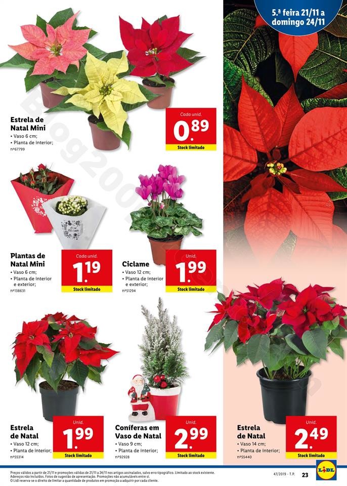 Antevisão Folheto LIDL Promoções de 18 a 24 nov