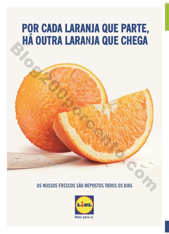 lidl novos artigos a partir de 15 julho_005.jpg