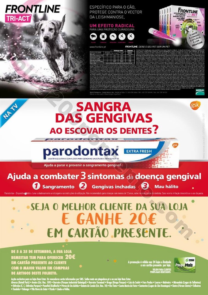 01 bem estar regresso p12.jpg