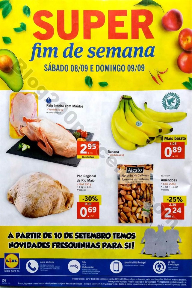 antevisao lidl tudo a 1 euro promocoes de 3 a 9 se