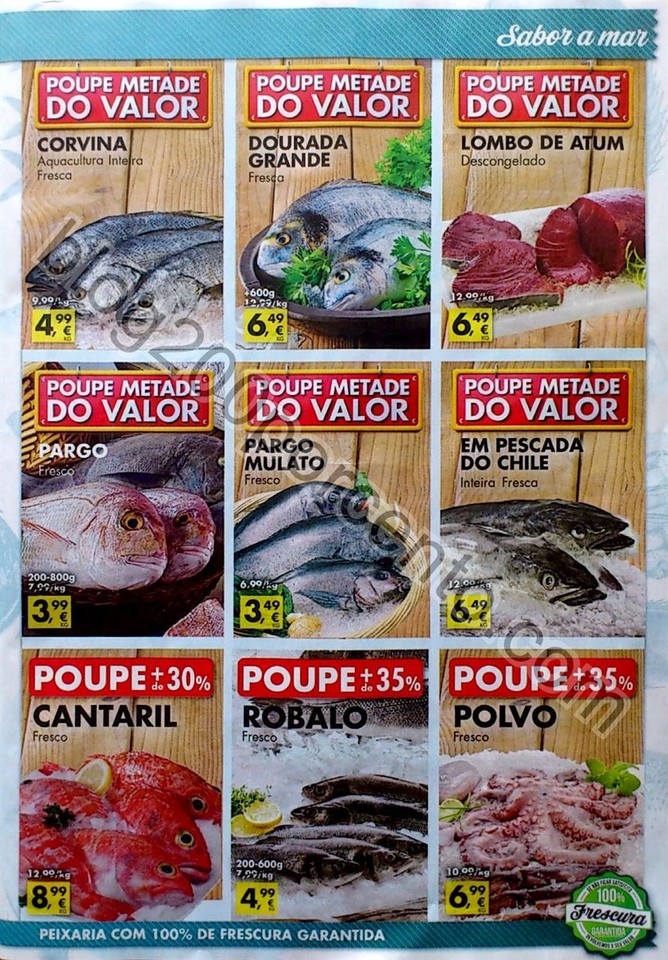 pingo doce 27 outubro_33.jpg